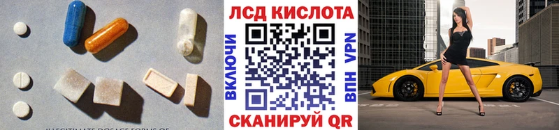 LSD-25 экстази кислота  блэк спрут ссылки  Каргат 