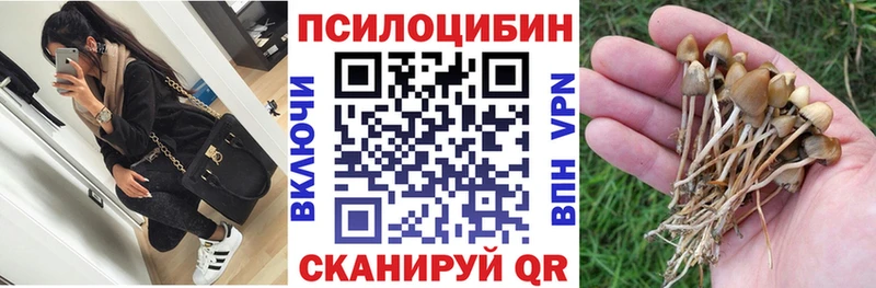 Псилоцибиновые грибы мицелий  даркнет сайт  Каргат 